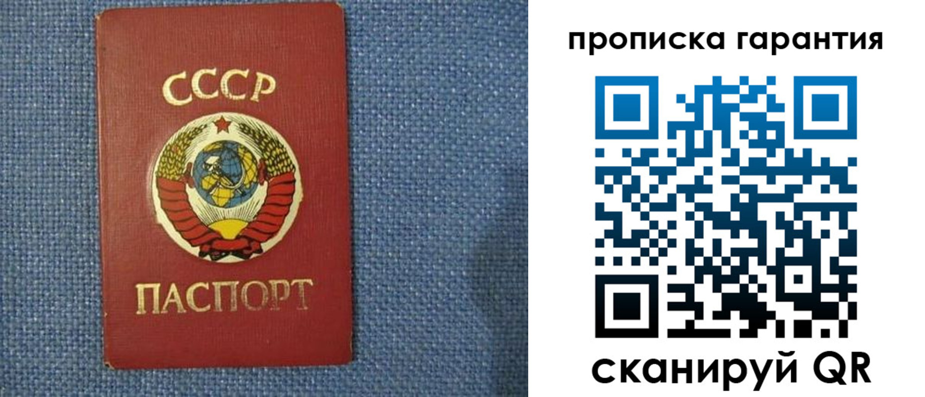 прописка 2025 в Почепе